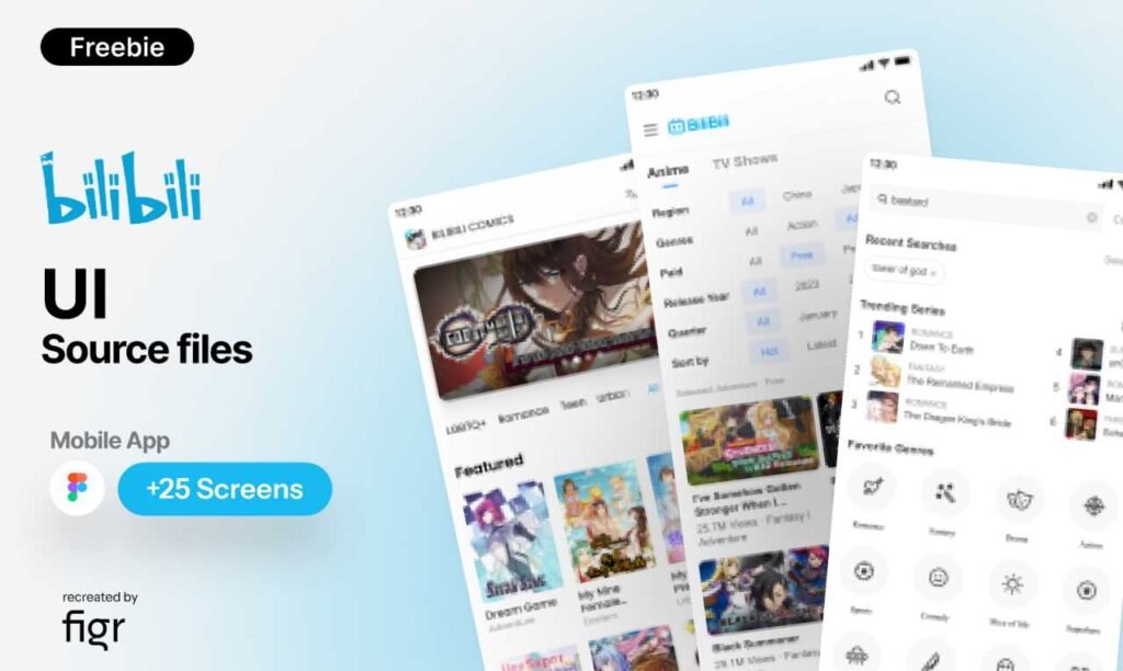 What Is Bilibili