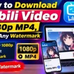 How to Download Bilibili Video in 1080p MP4, Without Any Watermark
